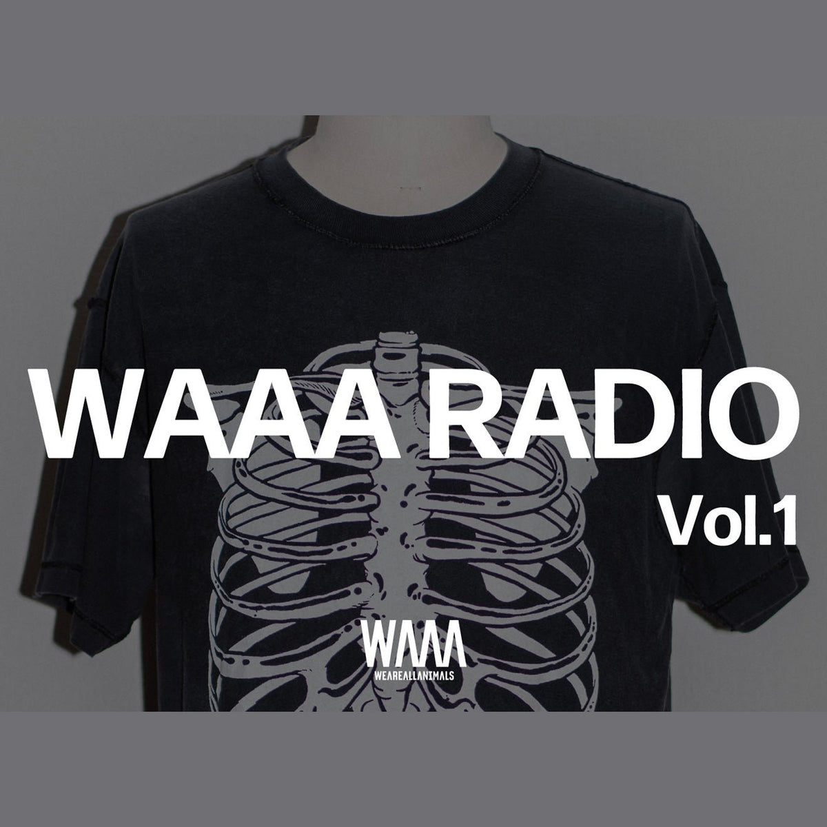 Waaa Instrument WAAA RADIO Vol.1