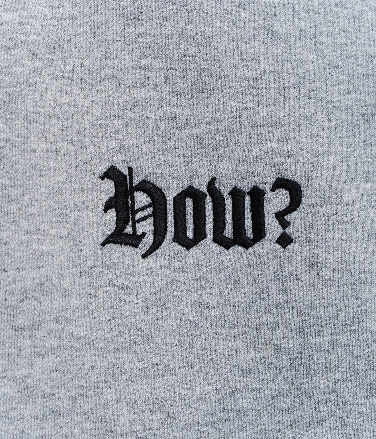 TODAY edition ""how?" Zip Up Sweat LS" GRAY