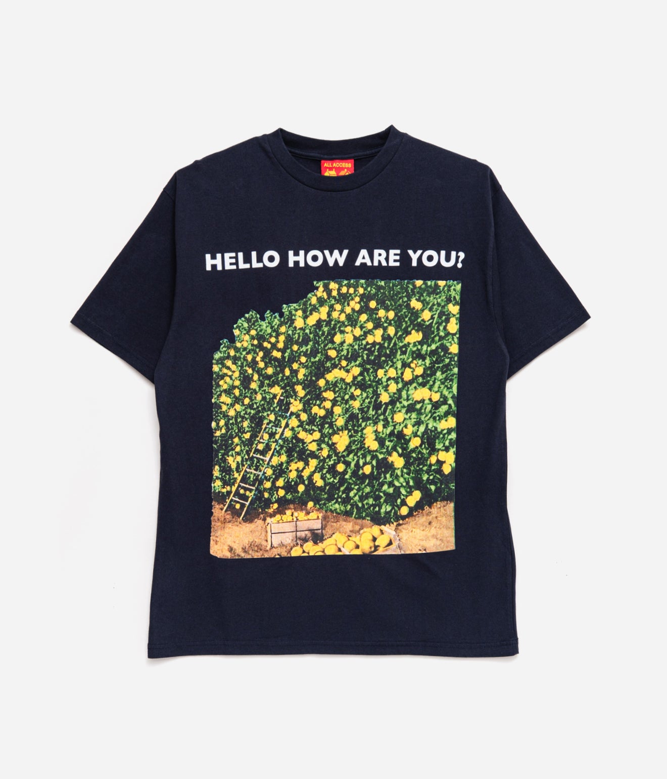 Public Possession "HELLO HOW ARE YOU T-SHIRT" NAVY