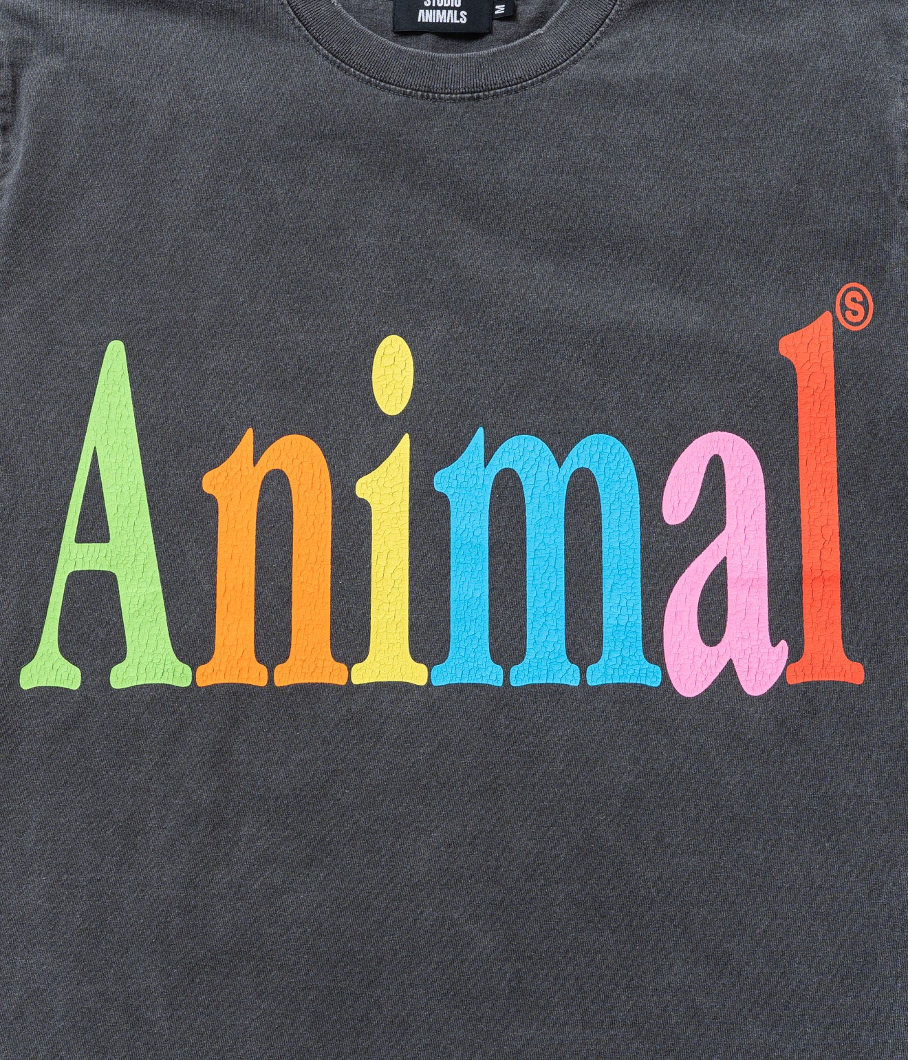STUDIO ANIMALS “Animals Letter” T-Shirt Faded Black
