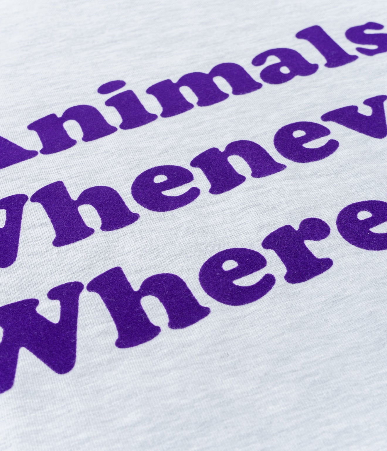 STUDIO ANIMALS “Whatever Whenever” T-Shirt Ash