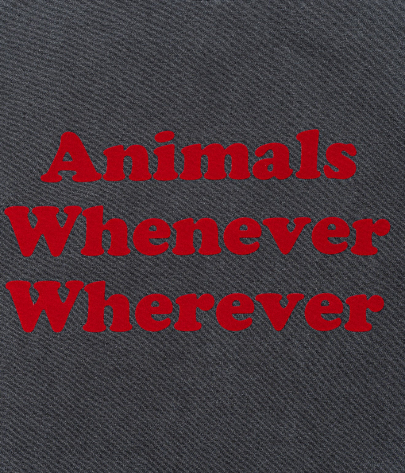 STUDIO ANIMALS “Whatever Whenever” T-Shirt Faded Black