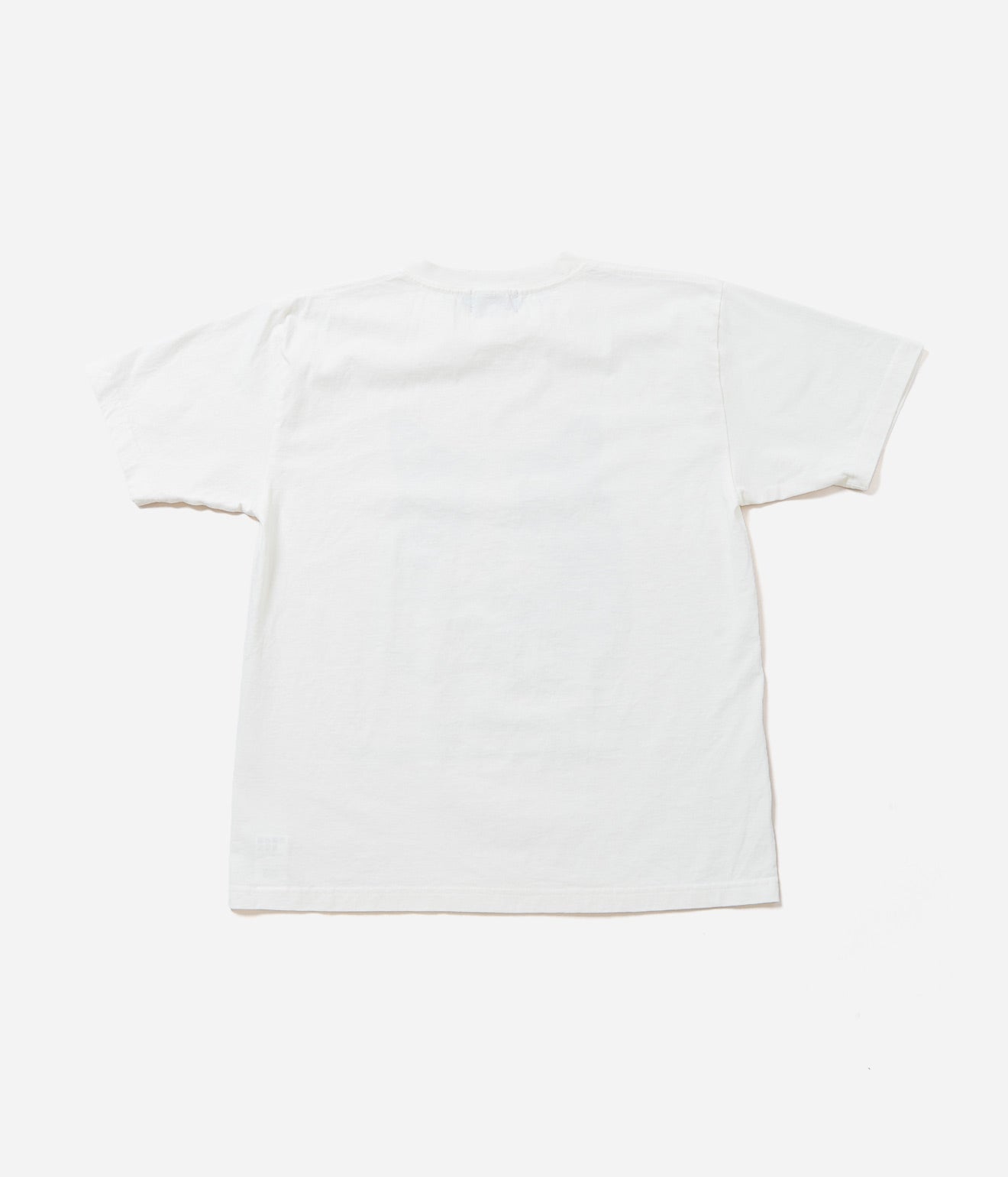 STUDIO ANIMALS “Cat” T-Shirt Natural