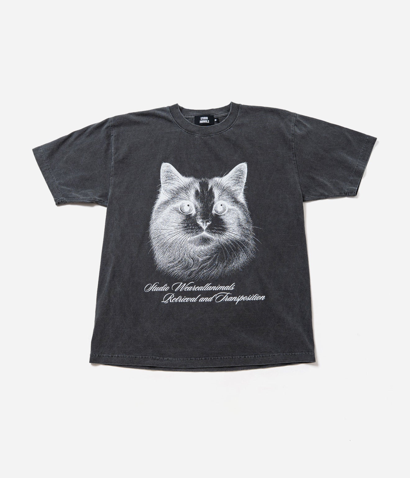 STUDIO ANIMALS “Cat” T-Shirt Faded Black