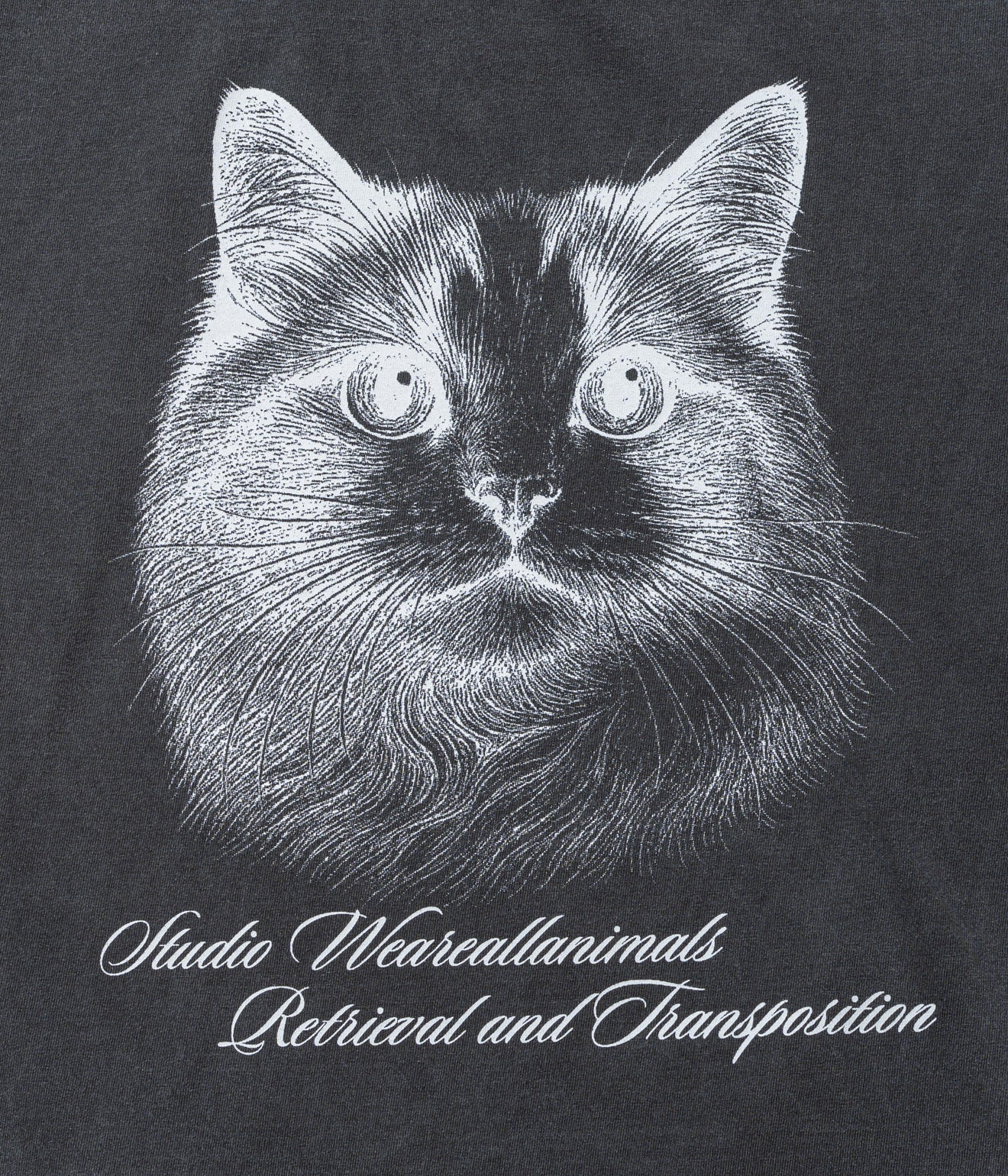 STUDIO ANIMALS “Cat” T-Shirt Faded Black