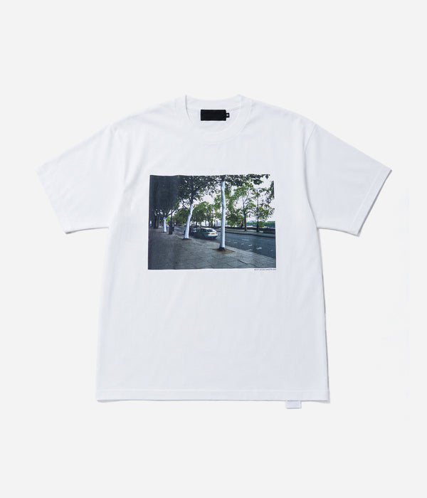 THE HACKLEBERRY "WHITE TREES" WHITE