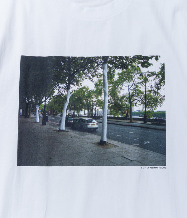 THE HACKLEBERRY "WHITE TREES" WHITE