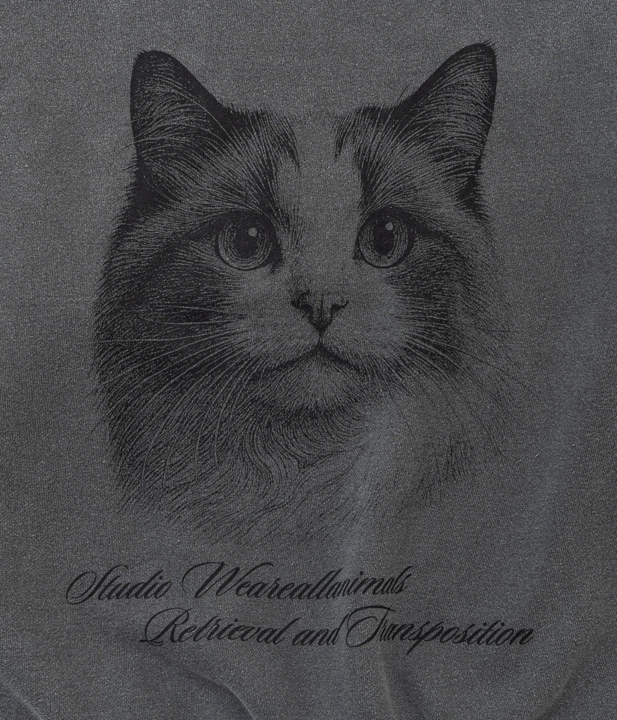 STUDIO ANIMALS "Cat" SWEATSHIRT FADED BLACK