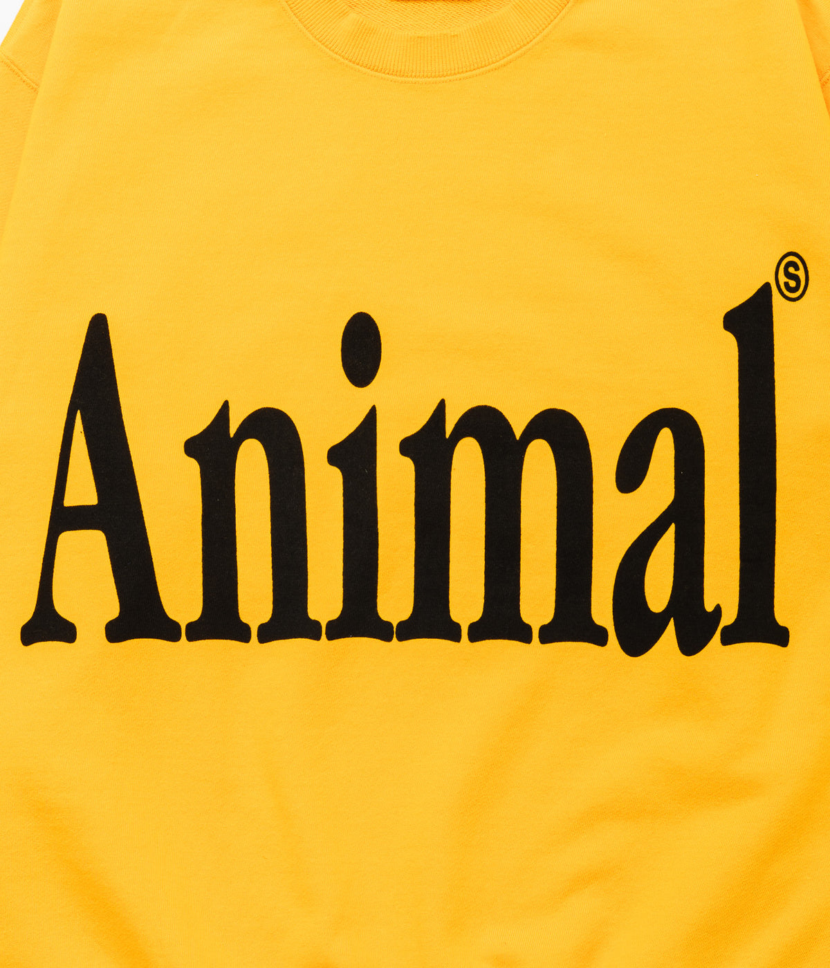 STUDIO ANIMALS "Animals Letter Solid Print" SWEATSHIRT Yellow