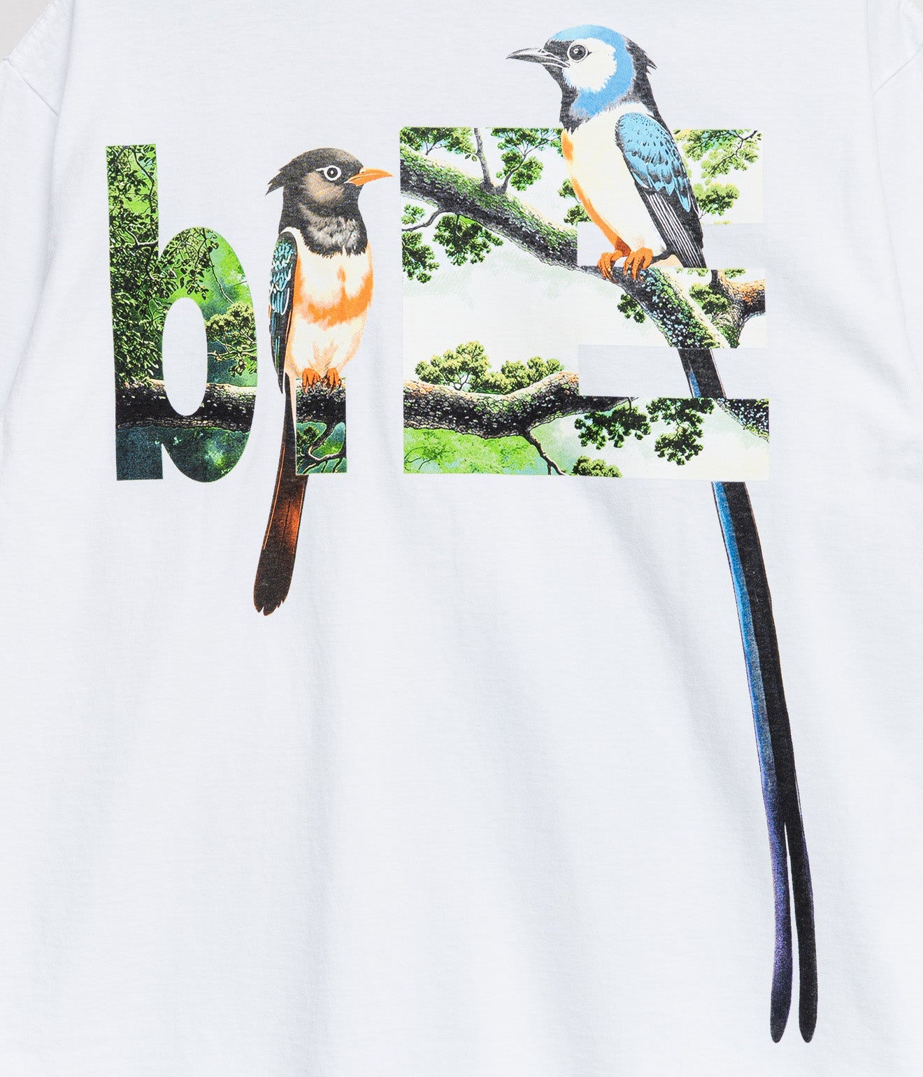 b.Eautiful "Bird Watching T-Shirt" White - WEAREALLANIMALS