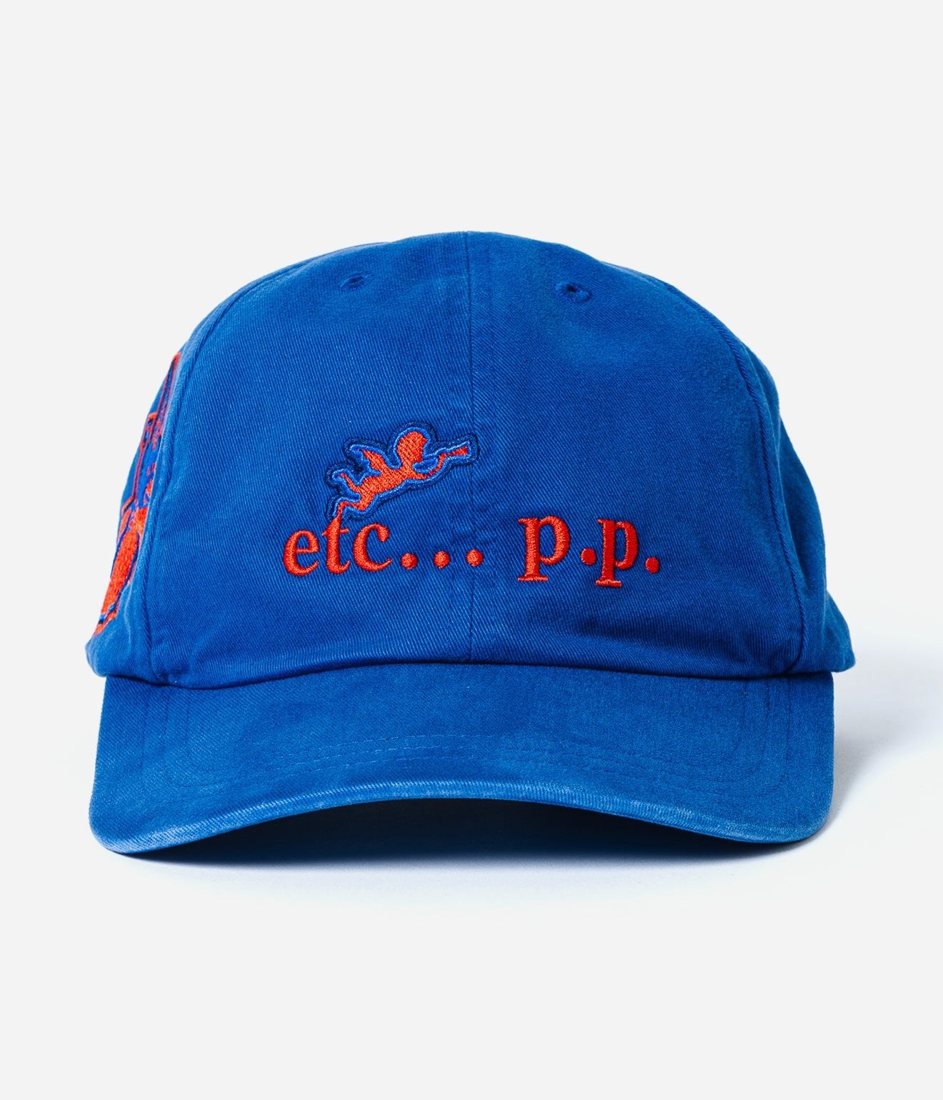 Public Possession "ETC PP" Cap - WEAREALLANIMALS