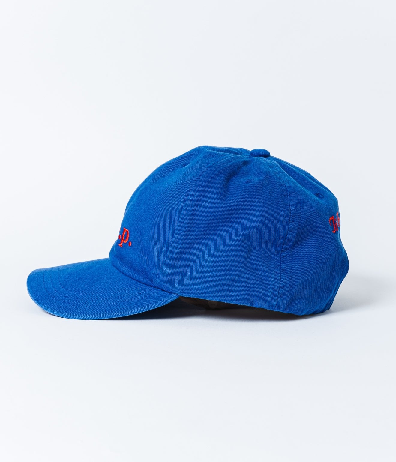 Public Possession "ETC PP" Cap - WEAREALLANIMALS