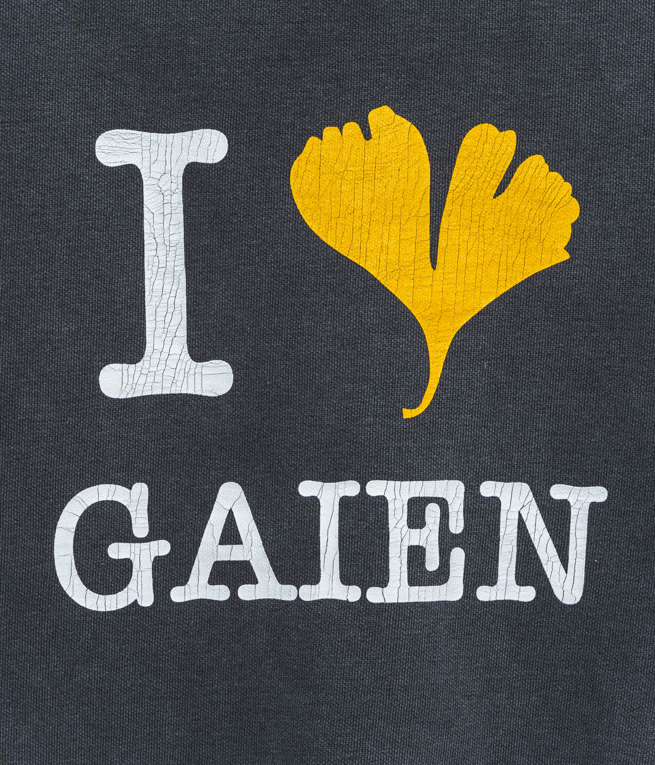 TODAY edition "I LOVE GAIEN" CN Sweat CHARCOAL - WEAREALLANIMALS